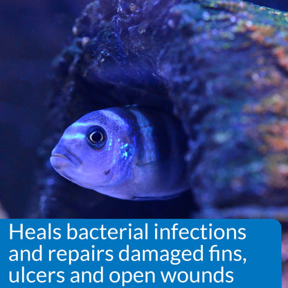 API MELAFIX Freshwater Fish Bacterial Infection Remedy 473 ml Bottle