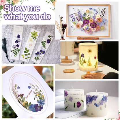 Suziko Large Flower Press Kit for Adults& Kids Flower &Plant Preservation Kit Measures 10.8" x 6.9" Arts and Crafts for Adults Leaf Press &- Great Gift for Lovers