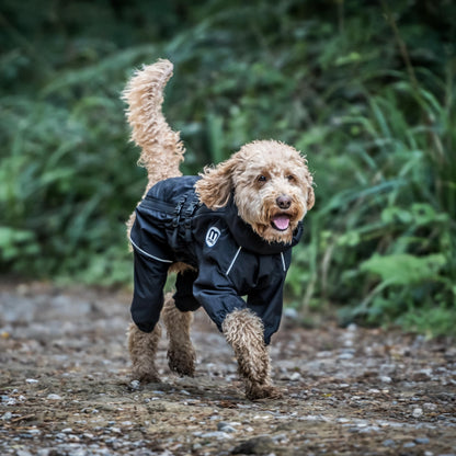 Mikki Doodles Dog Raincoat, Waterproof, Windproof, Silky Lining, Less Friction Means Less Knots & Tangles, Size Large c