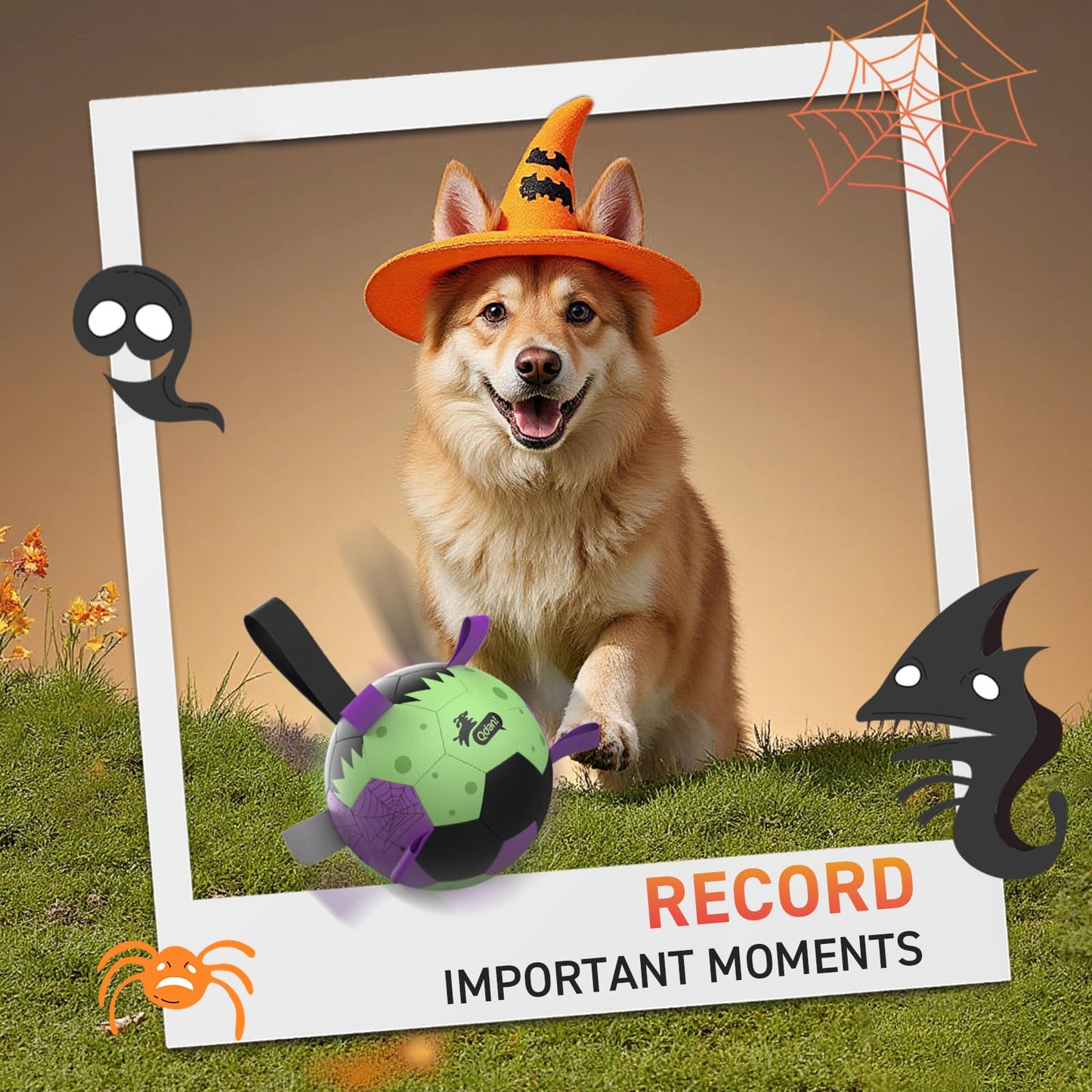 QDAN Halloween Dog Toys Soccer Ball: Premium Dog Soccer Balls with Straps- Outdoor Herding Balls Toys for Small Medium Dogs- Puppy Pet Birthday Gifts- 6 Inch Purple Green