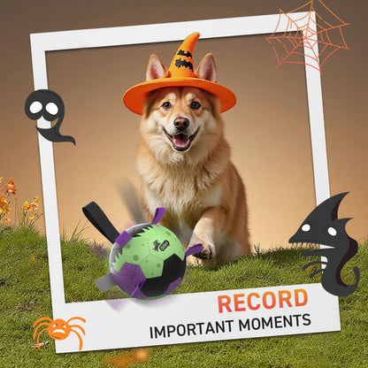 QDAN Halloween Dog Toys Soccer Ball: Premium Dog Soccer Balls with Straps- Outdoor Herding Balls Toys for Small Medium Dogs- Puppy Pet Birthday Gifts- 6 Inch Purple Green