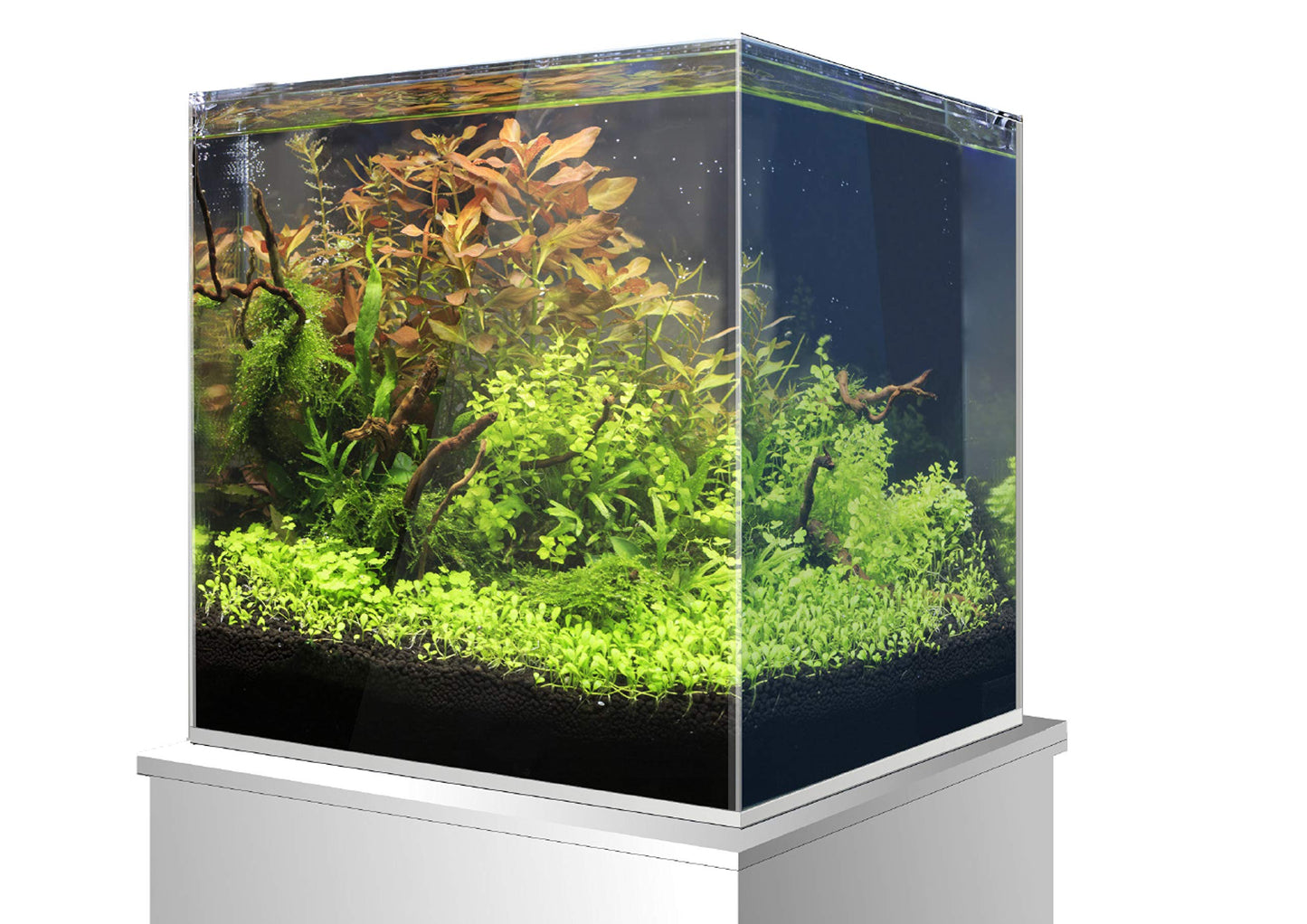 Amtra Nanoscaping - Aquarium Tank 15 Liters - Extra Clear Glass Case 25x25x25 cm - Tank for Goldfish or as a Turtle Tank for Water Turtles with Shock Absorbing Mat Included