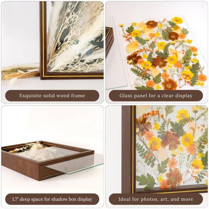 Pressed Flower Frame – Durable Dual Panel Design Glass Frame for Pressed Flowers – 11x14 Extra Large Easy-to-Use Gift Dried Flower Arrangements – Portrait or Landscape Floating Frames for Versatile Decor