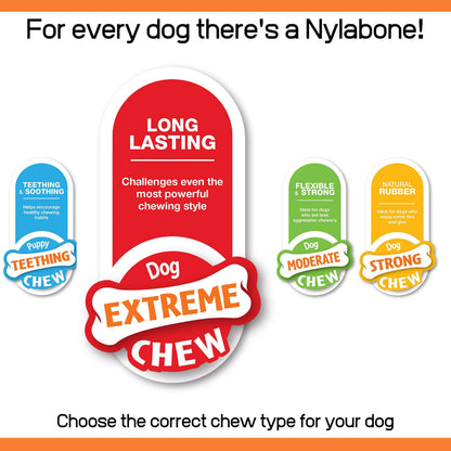 Nylabone Extreme Tough Dog Chew Toy Bones, Peanut Butter, Chicken, Bacon Flavoured, 3-Piece, Small, For Dogs Up To 11 kg