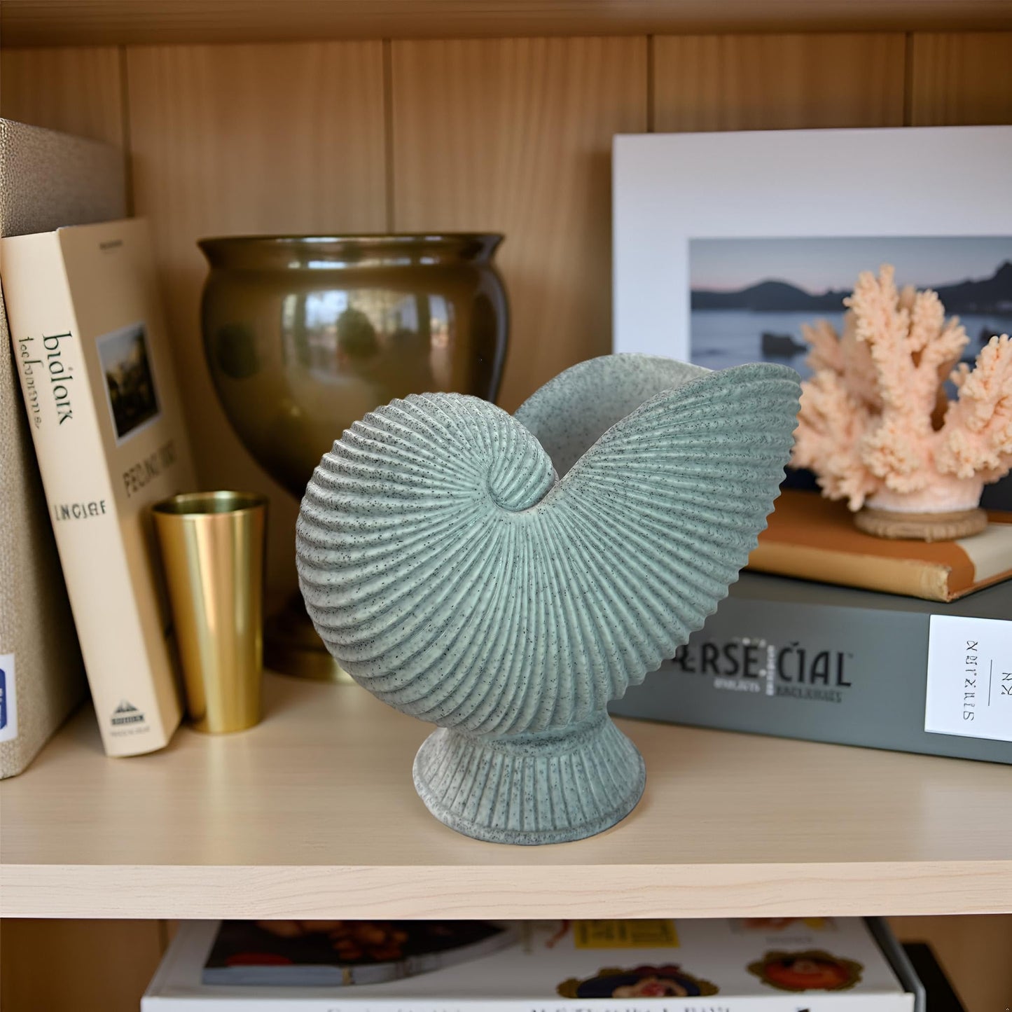 Dwelloria Nautilus Shell Sculpture – Gray White Resin Spiral Shell Decor, Modern Coastal Home Accent