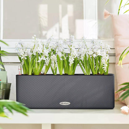 Lechuza Cube Color Triple Self Watering Plant Pot, Slate, 40 cm Diameterx 14 cm Width x 13.5 cm Height