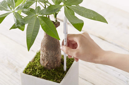 SUStee Watering Indicator for Plants (Set of 5, Small, White) - Smart Watering for All Plants, Works in All Soils | Minimalistic Design, Easy-to-Use, No Batteries | 100% Made in Japan