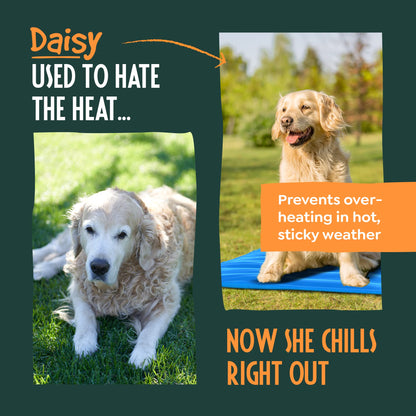 Cooling Pad Dog - Pet Cooling Mat for Dogs, Easy-Fold Cool Mat Dog Large 90x60cm, Cat and Dog Cooling Mat, Extra Pet Mat Cooling Gel, Dog Cooling Dog Cool Mat Bed, Cool Pad Dog