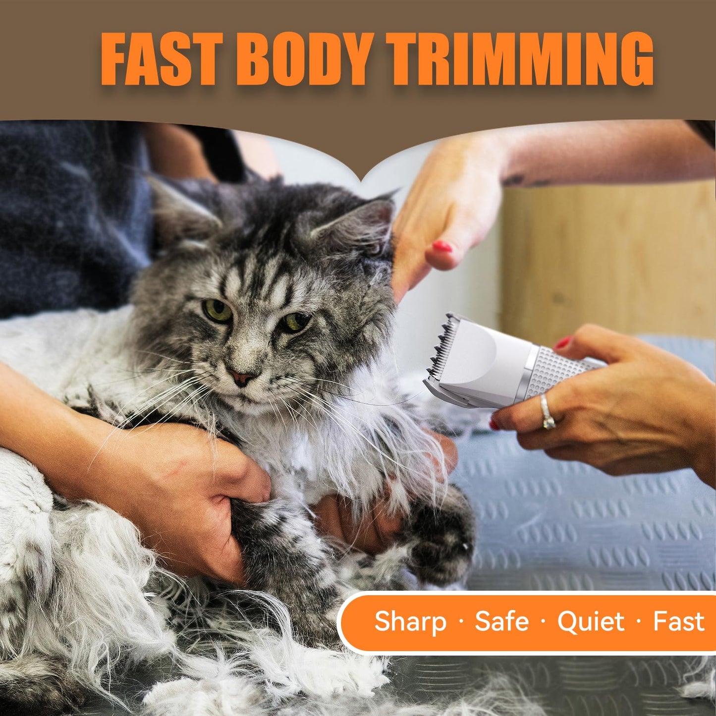 Bautrium Cat Grooming Clippers Kit, Low Noise Cat Shaver for Matted Fur Claw - Paw Trimmer for Dogs with Stainless Steel Scissors Combs & USB-C Charging Cable