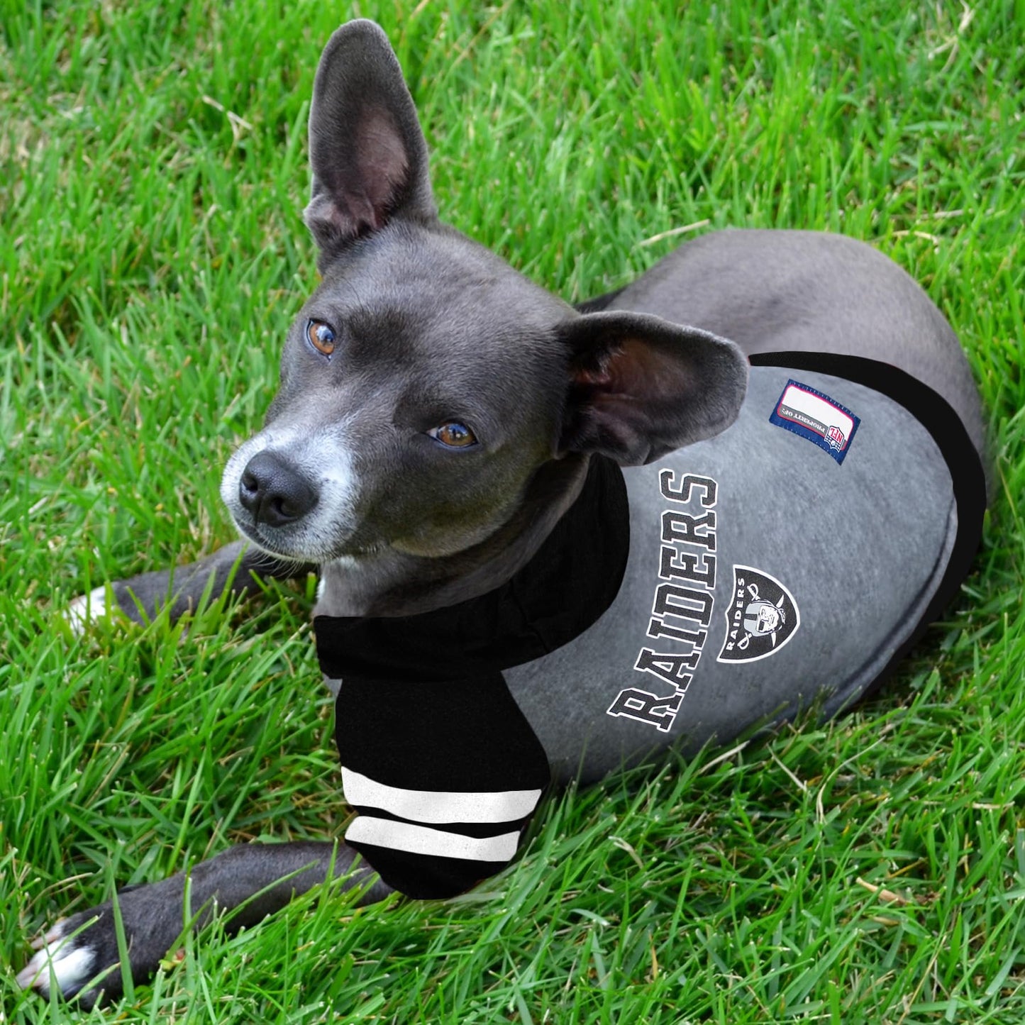 Pets First NFL Oakland Raiders Hoodie for Dogs & Cats. | NFL Football Licensed Dog Hoody Tee Shirt, Small| Sports Hoody T-Shirt for Pets | Licensed Sporty Dog Shirt