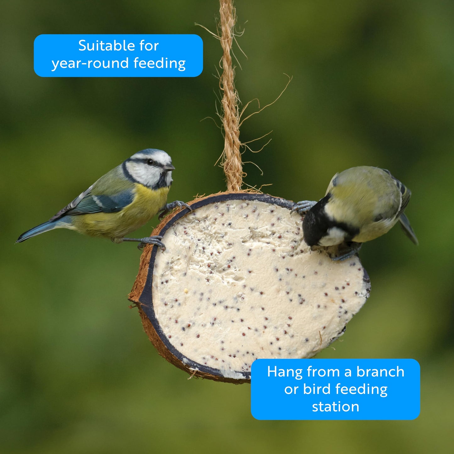 Coconut Bird Feeder Halves, Wild Bird Food for Small Birds with Suet, Dried Mealworms, Seeds, and Cereals, High Energy Food, Filled in the UK, Suitable for Year-Round Feeding - RSPB x 10 (320g)