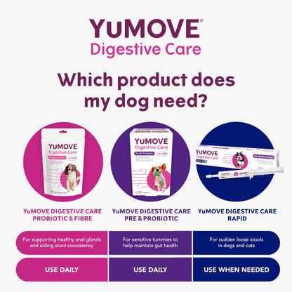 YuMOVE Digestive Care, Dog Pre and Probiotics Supplement for Gut Health and Digestive Support, All Ages and Breeds with Sensitive Digestion, 120 Tablets