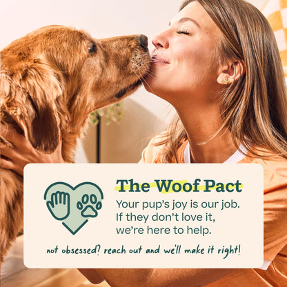 WOOF Pupsicle Chicken Refill Pops, Delicious Long Lasting Dog Treats, Wholesome Ingredients, Pre-Made Large Pupsicle Refills Pops- For Dogs 25 - 75 lbs - 7 count