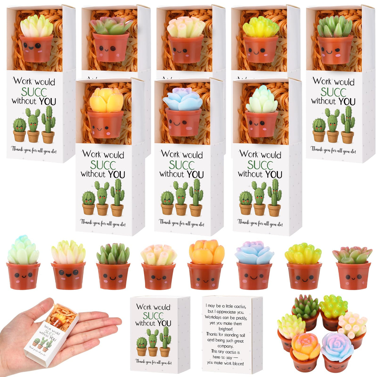 Jenaai Succulent Thank You Gift Bulk Positive for Teacher Nurse Employee Coworker Resin Cute Succulent Gifts Small Cactus Pocket Desk Favors with Positive Pun Boxes for Team Staff