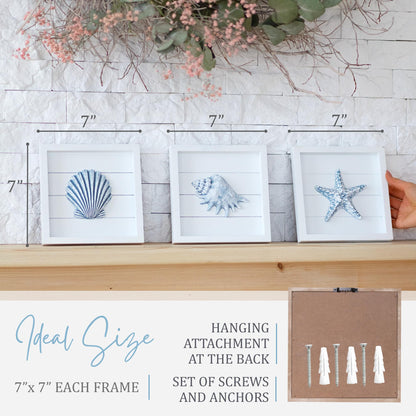 TideAndTales Blue Seashells and Starfish (Framed Set of 3) Coastal 3D Wall Art for Bathroom or Bedroom, Ocean-Inspired Beach Decorations for Home or Beach House