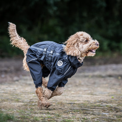 Mikki Doodles Dog Raincoat, Waterproof, Windproof, Silky Lining, Less Friction Means Less Knots & Tangles, Size Large c