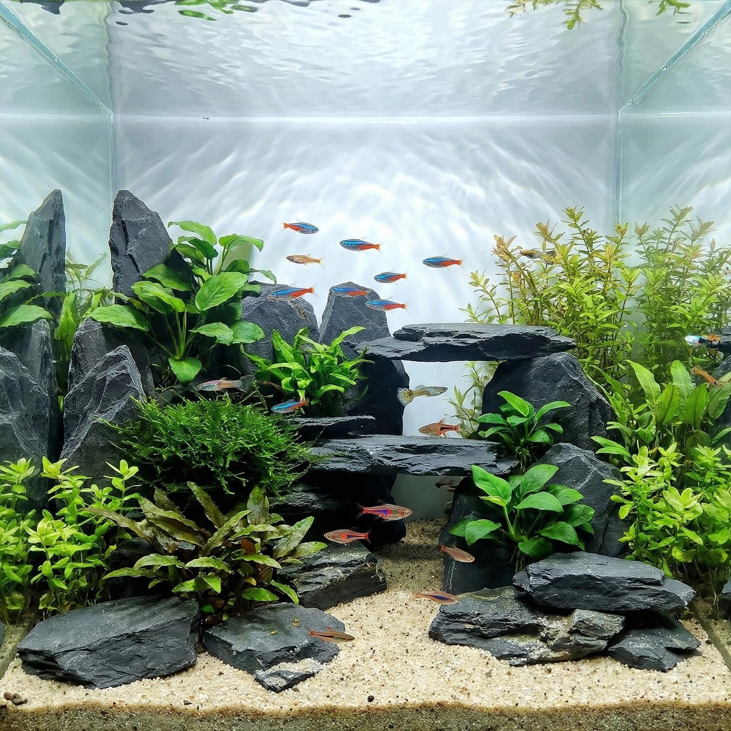 YISZM Slate Rock for Aquarium, 5-7 Inch Polished Natural Stone Rocks, Fish Tank Decor, Aquascaping Rocks, Safe for Aquariums, Terrariums, 10 lbs