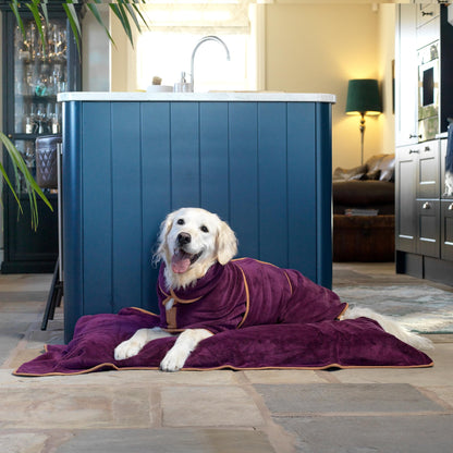 Lucky Paws® UK Dog Drying Coat - Luxurious Double Layer Dog Towel Robe - Dry Your Dogs in Minutes - Ultra Absorbent Drying Robe & Super Soft Dressing Gown (M, Plum)