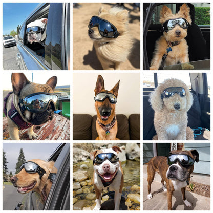 NAMSAN Dog Goggles Medium to Large Dog UV Sunglasses Windproof Anti-Dust Snowproof Pet Glasses with Elastic Straps