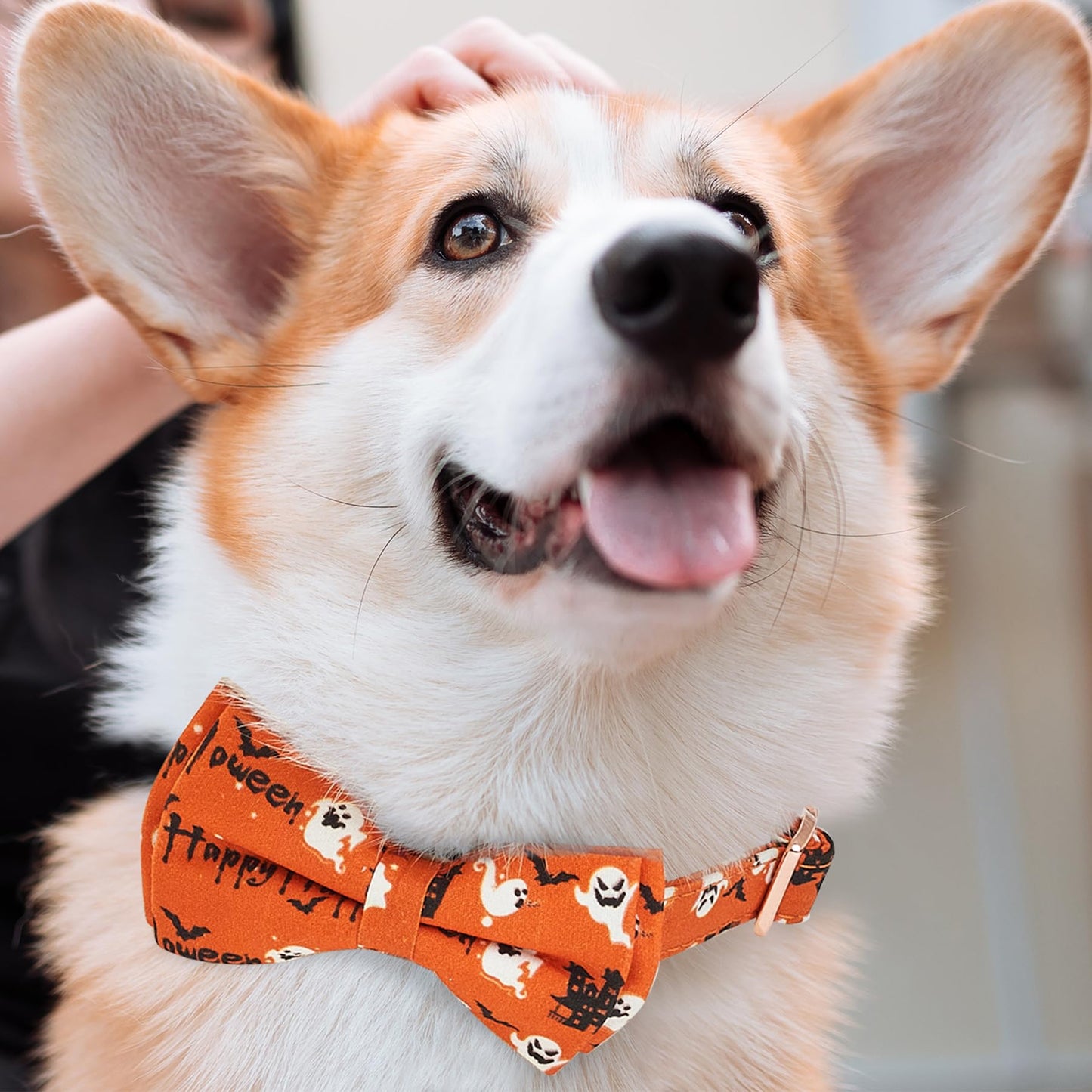 Thankspaw Adjustable Bow Tie Dog Collar Printed Cute Patterns Spring Summer Soft Pet Collars for Small Medium Large Dogs
