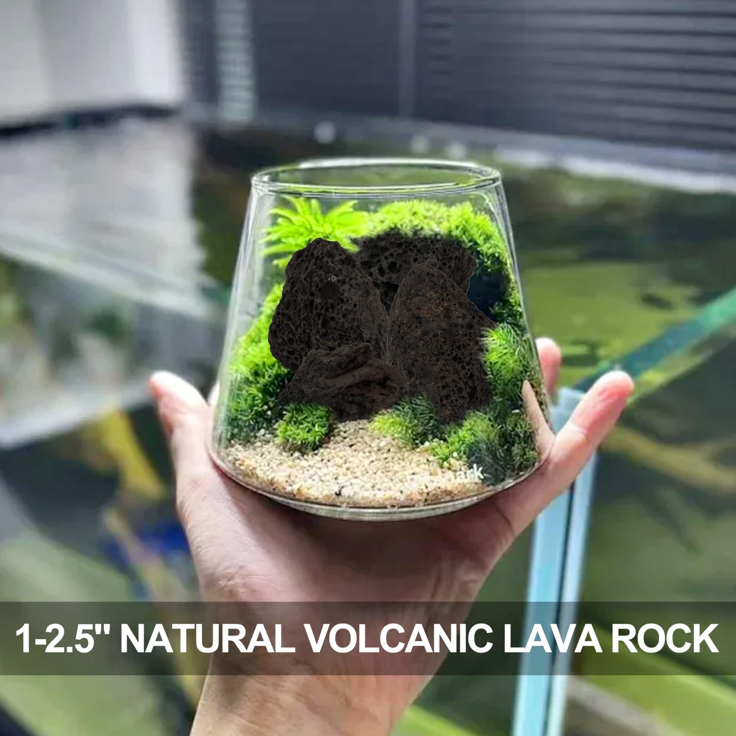 Skyolaq 1-2.5" Natural Volcanic Lava Rock for Aquarium, Plants, Fire Pit, Succulent & Garden Decor, 1lb