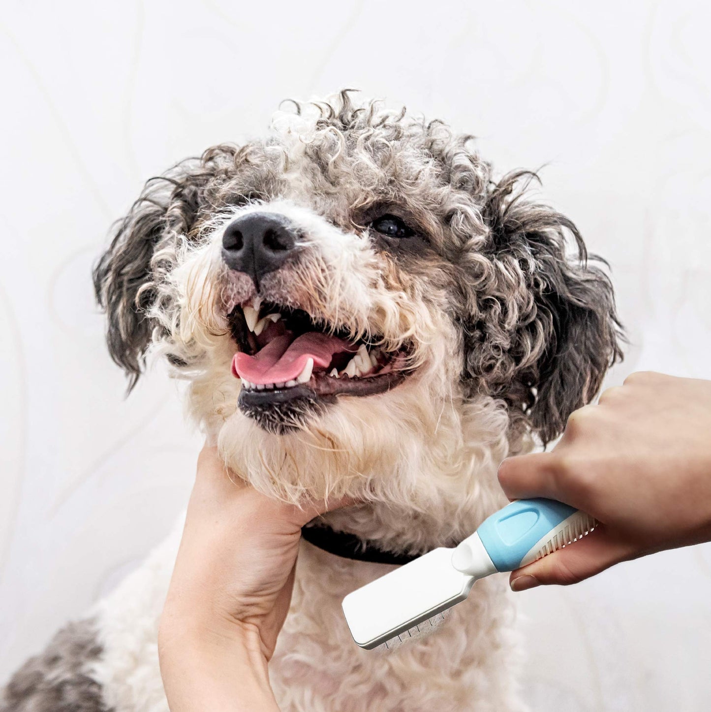 Pets First Professional Pet Mat Remover - Dematting Tool for Grooming Cats & Dogs - Removes Matted Fur, Tangles, Knots, Loose Hair & Dirt - Stainless Steel, Gentle Teeth,Blue,7 x 1 inches