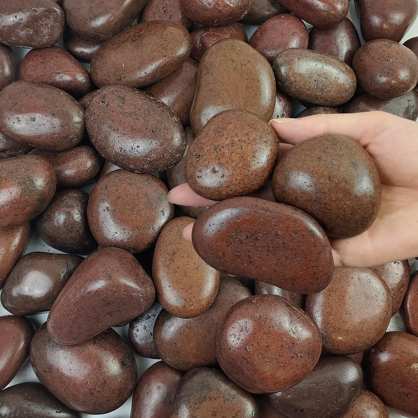 FANTIAN 5 lbs Red River Rocks, 2-3 Inch Large Pebbles for Indoor Plants, Decorative Rocks Stones for Landscaping, Vases, Aquariums, Fountains, Pathways, Backyard and Garden