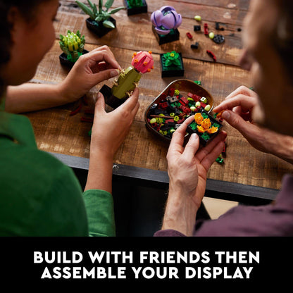 LEGO Botanicals Succulents - Artificial Indoor Plant Building Set for Home, Kitchen, Desk Decor Adults Ages 18+ - Gift for Birthdays - 10309