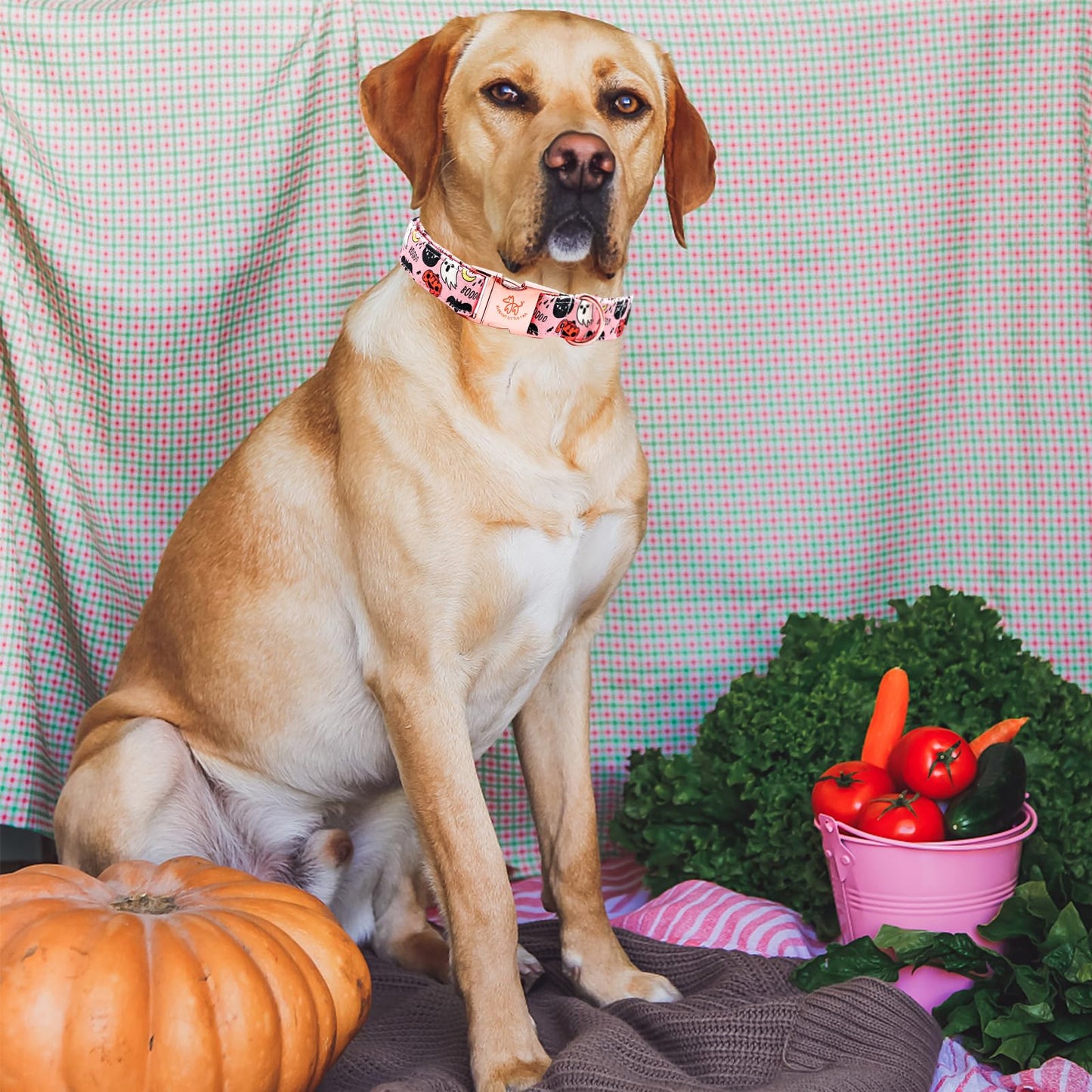Elegant little tail Halloween Dog Collar, Autumn Pet Collar Durable Pink Dog Collars Male or Female Holiday Pet Gift Adjustable Dog Collar for Medium Dogs