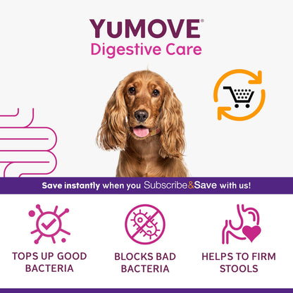 YuMOVE Digestive Care, Dog Pre and Probiotics Supplement for Gut Health and Digestive Support, All Ages and Breeds with Sensitive Digestion, 120 Tablets