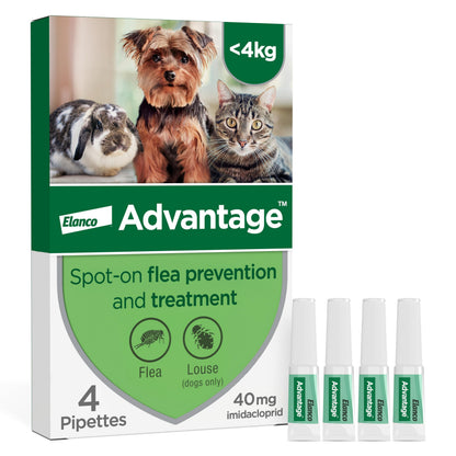 Advantage Spot On Flea Treatment For Cats, Dogs and Rabbits Under 4kg (4 pipettes, 40mg), Kills Fleas Within 24 Hours, Prevents Further Infestation For Up To Four Weeks in Cats and Dogs
