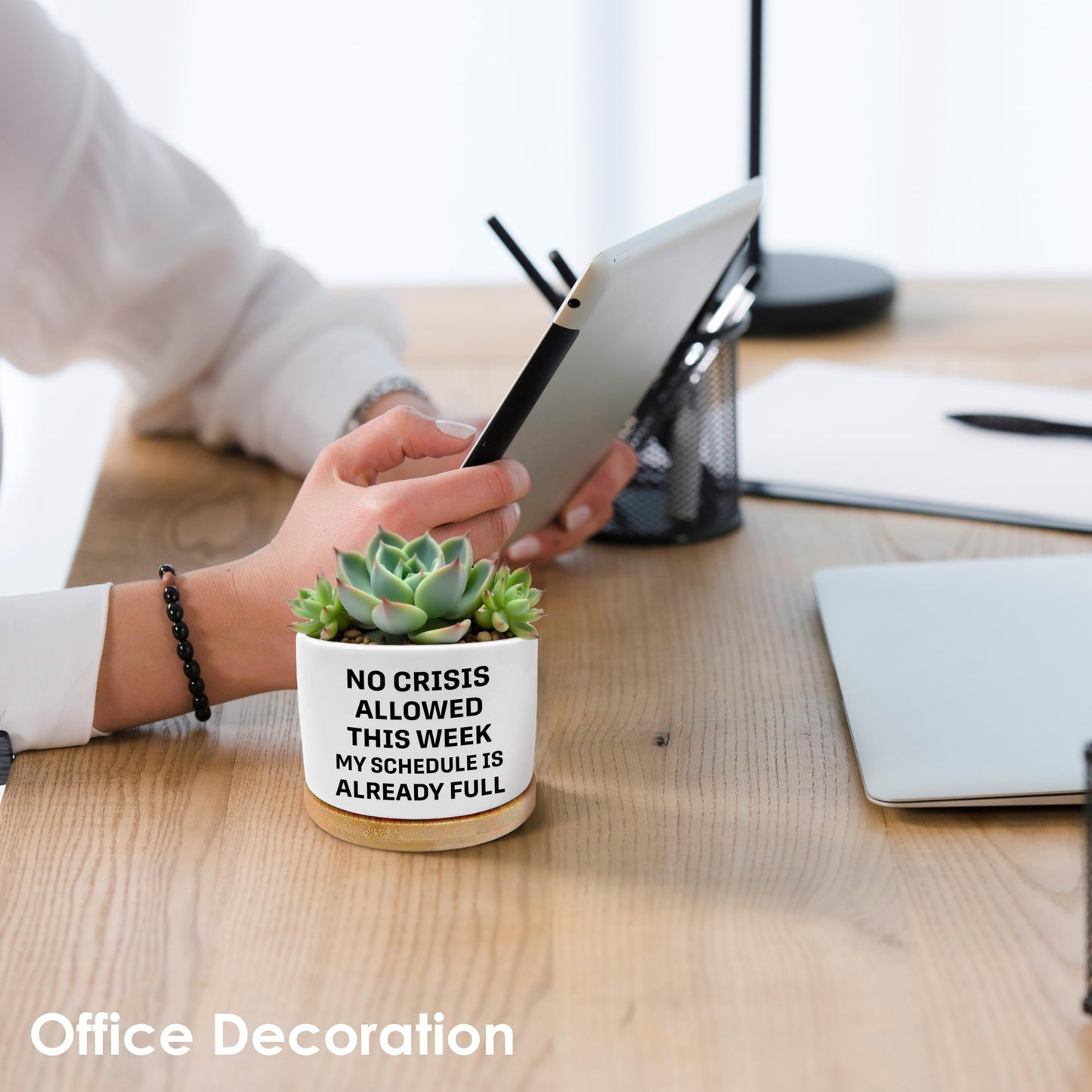 ROXMART Funny Office Gifts Plant Pots, Sarcastic Gifts for Women Men Coworker Boss Succulent Planters, No Crisis Allowed This Week Ceramic Plant Flower Pots for Home Office Desk Table Shelf(No Plants)