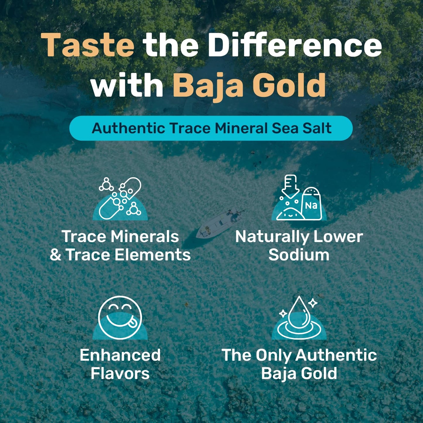 Baja Gold Signature Mineral Sea Salt - Recommended by Gary Brecka - Authentic Fine Grind Salt for Cooking & Baking | Natural Baja Salt for Culinary Uses | Great for Finishing Dishes | 1 lb. Resealable Bag, 300+ Servings