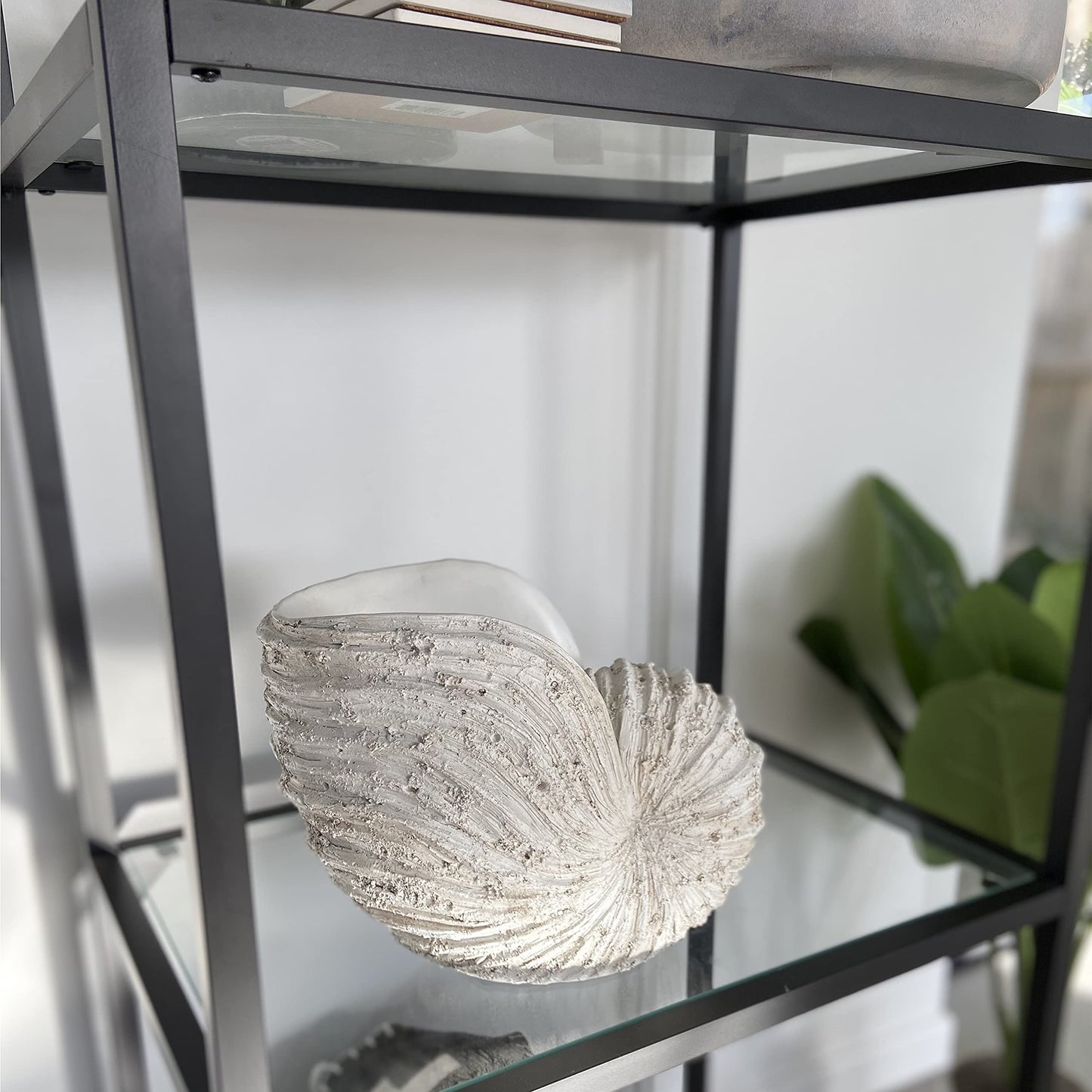Huey House Large Nautilus Shell Sculpture, White Seashell Beach Decor