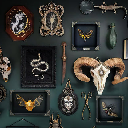 Death Head Moth Acherontia Skull Butterfly Handmade Shadow Box Oddity Curiosities Unique Gift Taxidermy Collectables Tabletop Wall Art Home Decor Living Gallery Bedroom K18-01-DE-MT