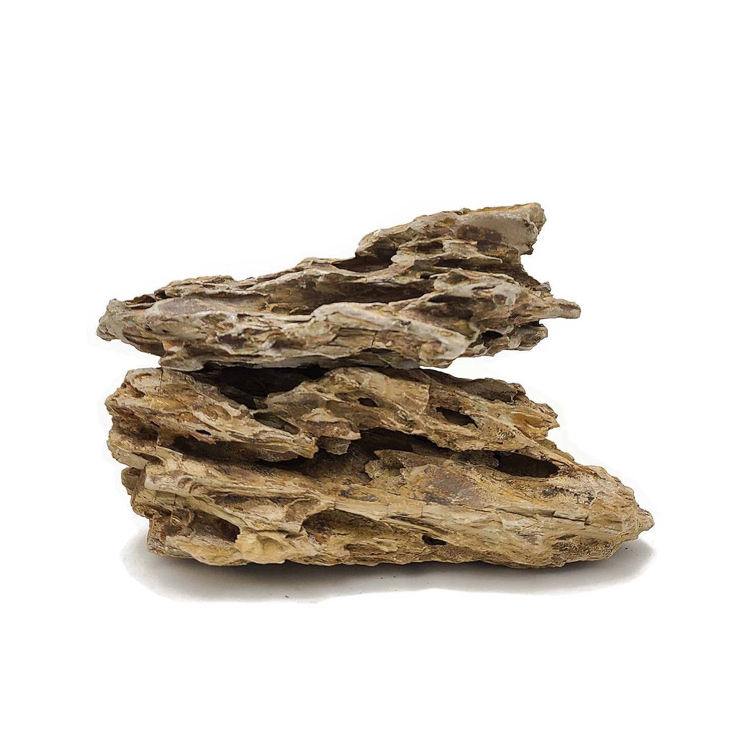 Lifegard Aquatics Aquascaping Dragon Ohko Rock 10 Lb Kit – Decorative Aquarium Rocks, Fish Tanks – 10 Lbs Kits