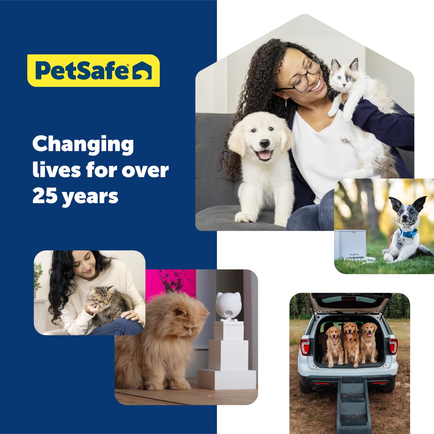 PetSafe Elite Little Dog In-Ground Pet Fence Receiver Collar - for Dogs Over 5 lb - Waterproof with Tone and Static Stimulation – from The Parent Company of Invisible Fence Brand