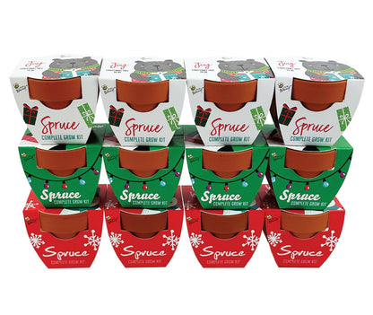 BUZZY Seeds Holiday Mini Spruce Kit 12-Pack – Terracotta Pots with Bear, Penguin, and Snowman Designs, All-in-One Tree Seed Starter Set, Stocking Stuffer, Party Favor