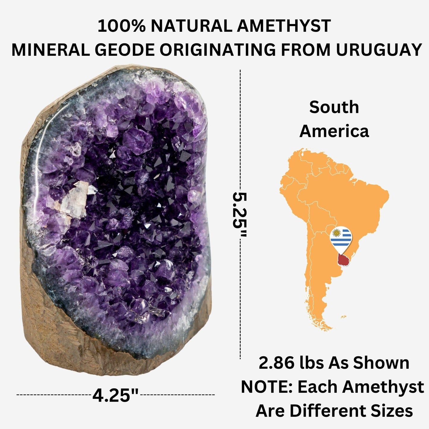 TRUENERGY Polished Amethyst Cluster Quartz Crystal – 1.5 To 2.0 lbs Grade A+ Raw Dark Purple Geode Stone With Rounded Edge – Home Decoration, Meditation Healing, and Positive Energy (1.5-2 lbs)