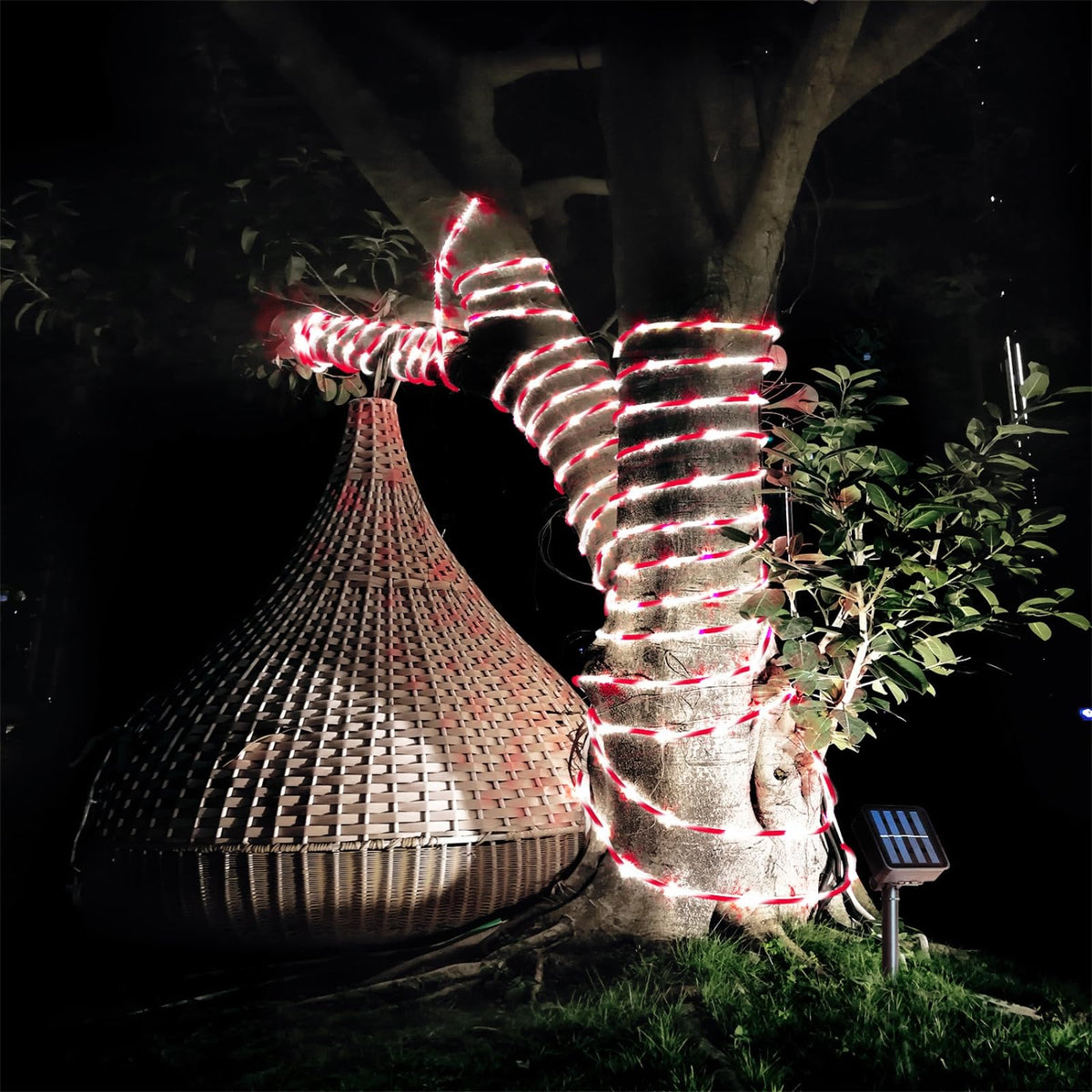 QITONG Solar Christmas Lights, 2 Pack Each 33ft 100 LED Red & White Candy Cane Rope Light Outdoor Waterproof, 8 Modes Fairy Lights in Clear Thin Tube