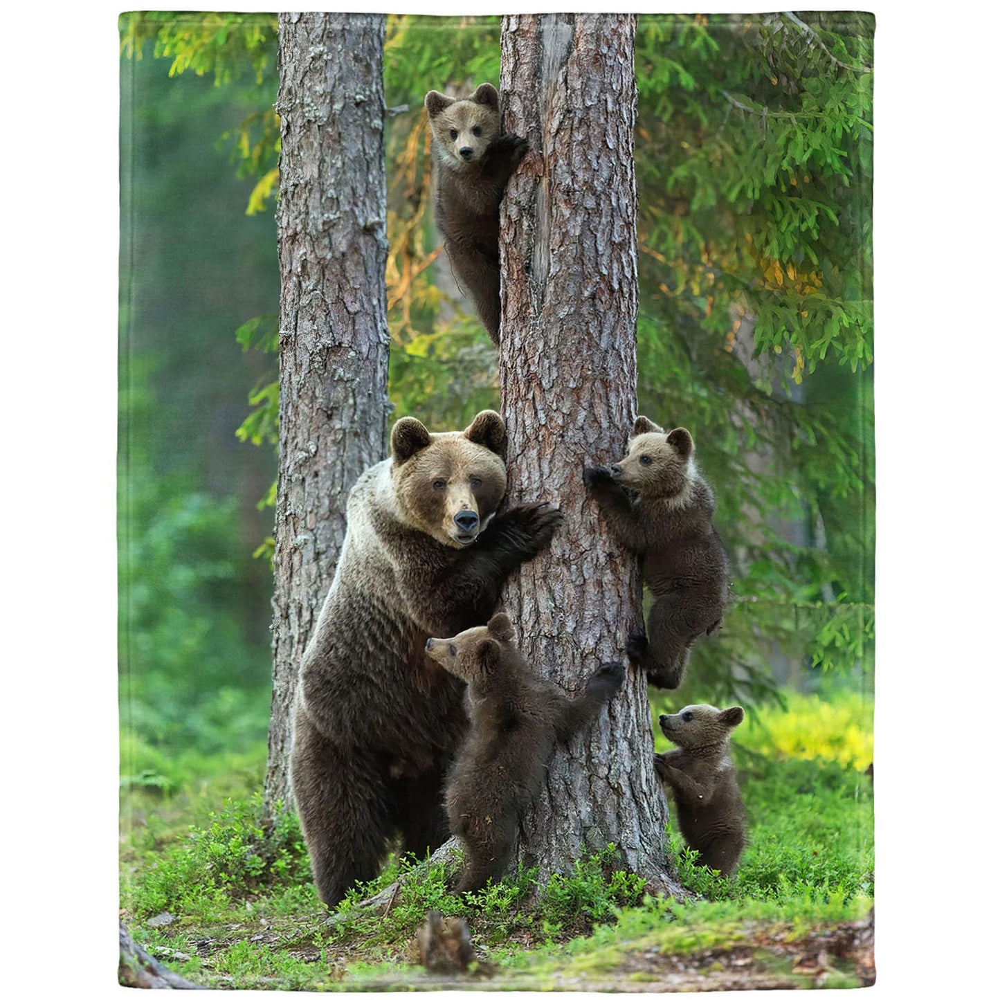 KLRIGR Wildlife Brown Bear Throw Blanket, Soft Flannel Blanket with Bear Cubs Climbing Tree, Cozy Forest Nature Print for Couch Bed Home Decor, 60"x80"