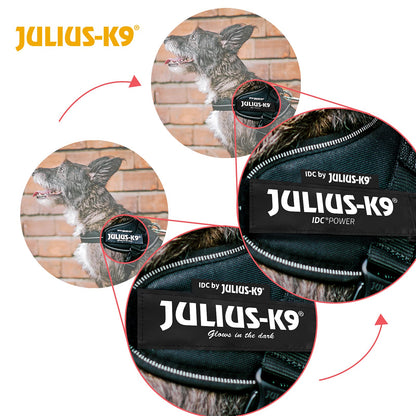 Julius-K9 IDC Powerharness, Blue, S/Mini