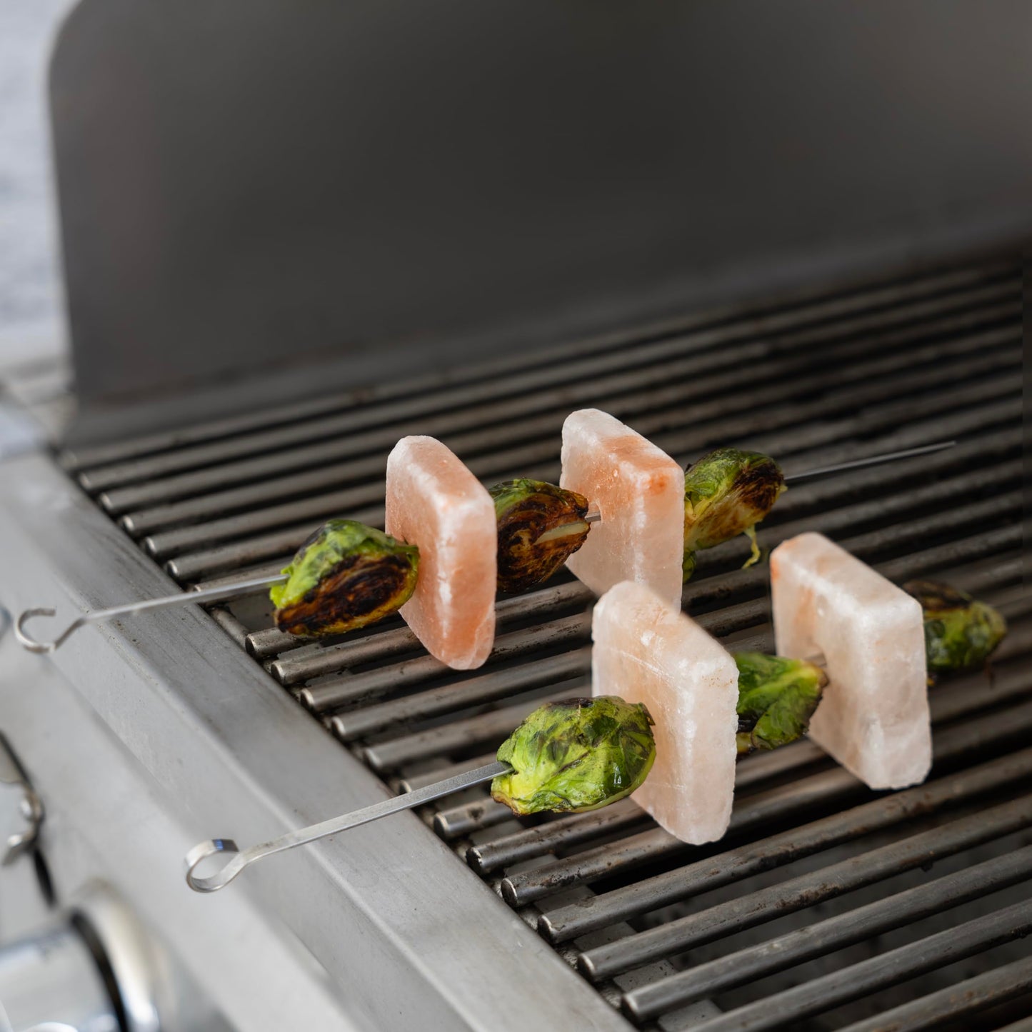 Outset Grill Skewers, Stainless Steel BBQ Skewers With Pink Himalayan Salt Cubes, 2 Skewers and 4 Cubes For Kabobs