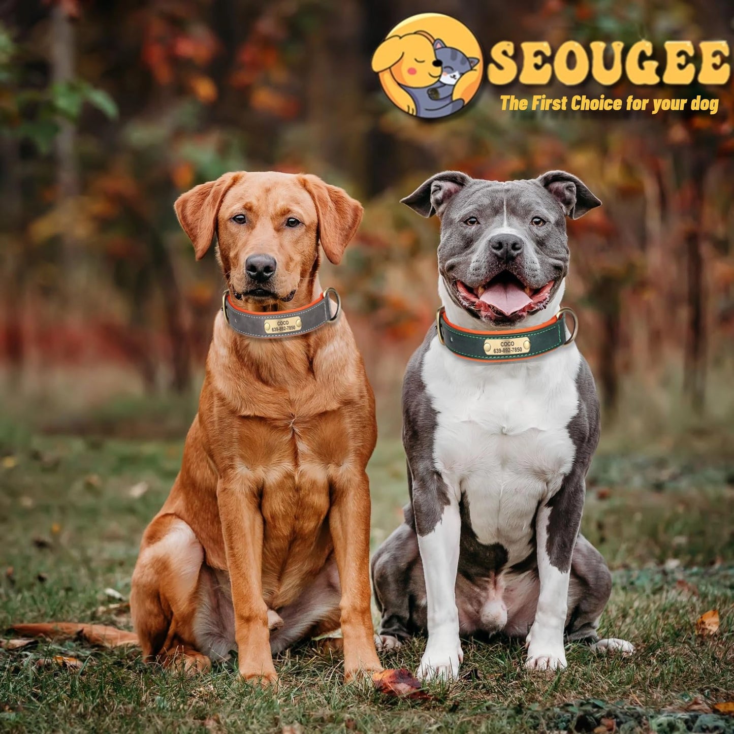 SEOUGEE Genuine Leather Dog Collar Personalised, Soft Padded Leather Dog Collars Heavy Duty with Custom Engraved Name Plate Adjustable for Small Medium Large Dogs (M, Brown 28-37cm)