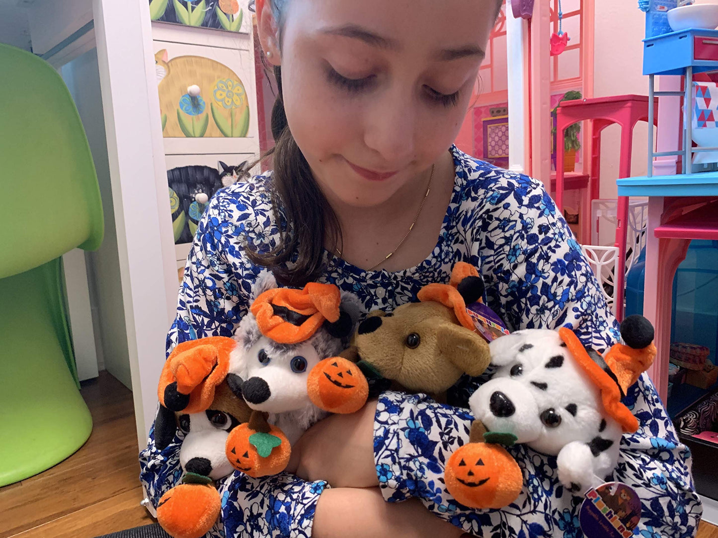 Plushland Halloween Pawpals 8 inches Puppy Dog Plush Stuffed Toy Comes with Hat and Halloween Jack O Lantern - Pumpkin for Kids on This Holiday (Labrador)