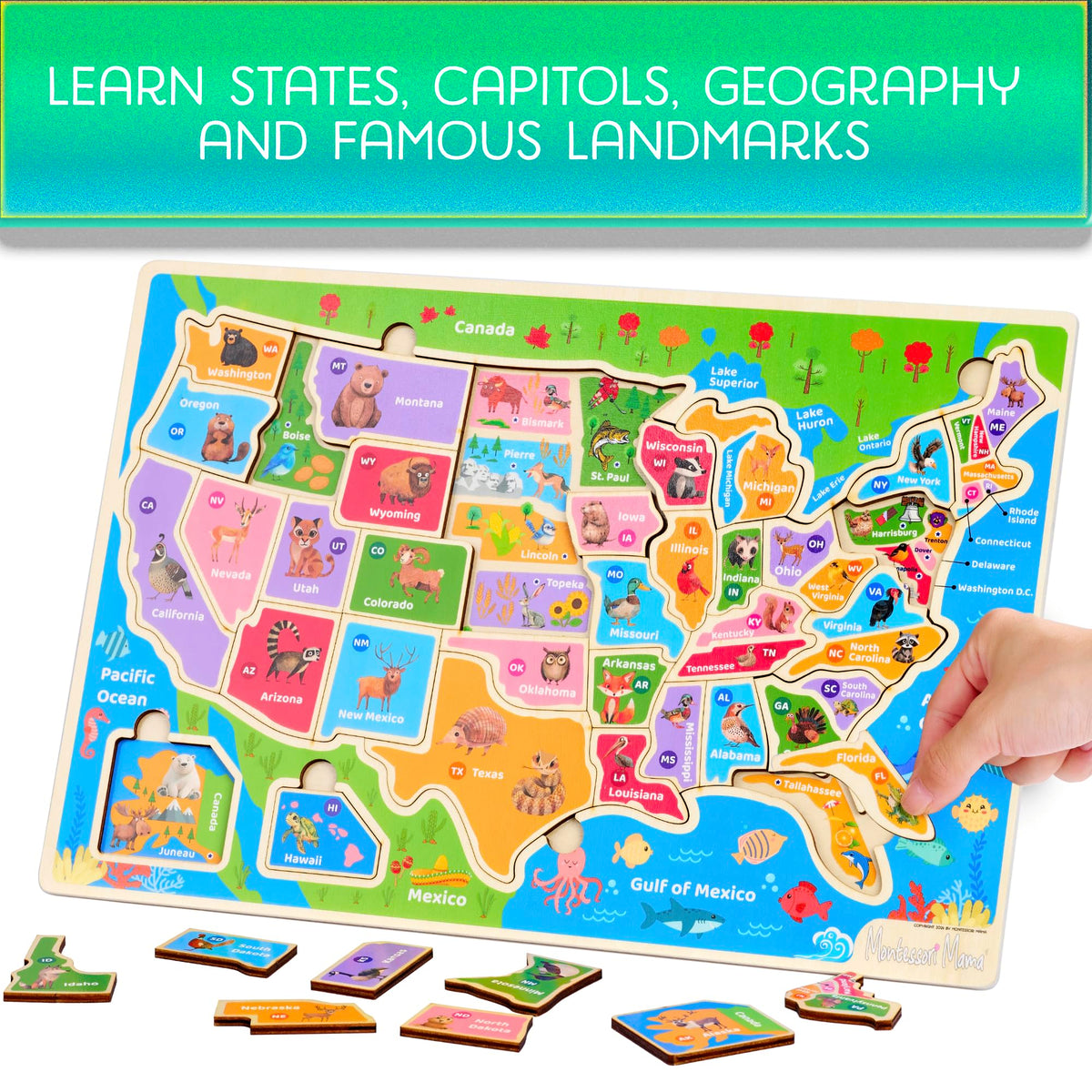Montessori Mama USA Map Wooden Puzzle, Puzzles for Kids Ages 4-6 Educational Toys for 4 Year Old Kids Puzzles Ages 5-8 Landmarks, Animals, Capitols and States
