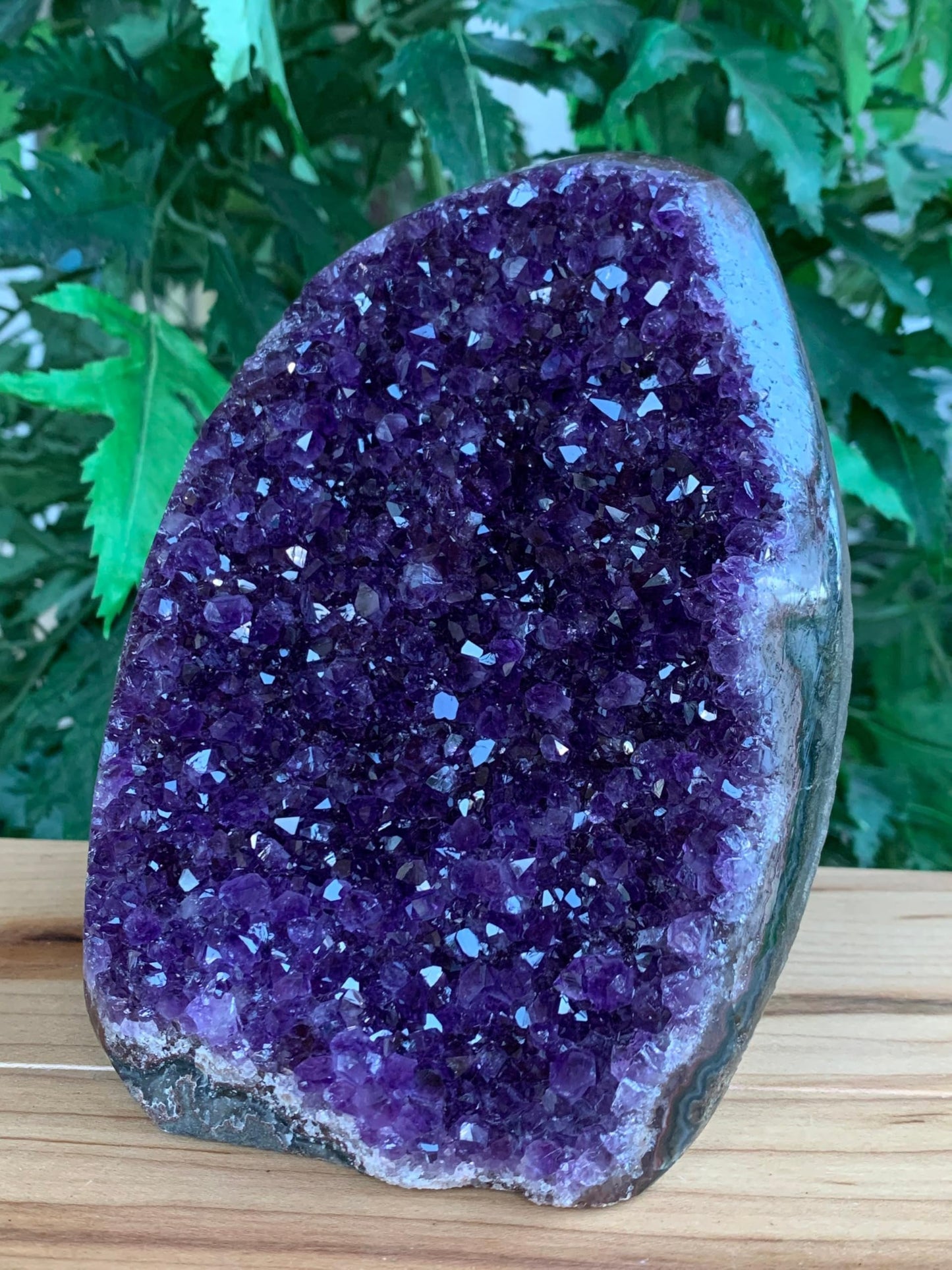 GAF TREASURES Finely Polished Uruguayan Deep Purple Amethyst Cluster with Cut Base, Standing Amethyst Geode, Raw Amethyst, Amethyst Cathedral, Amethyst Druze (0.5-1 lb)