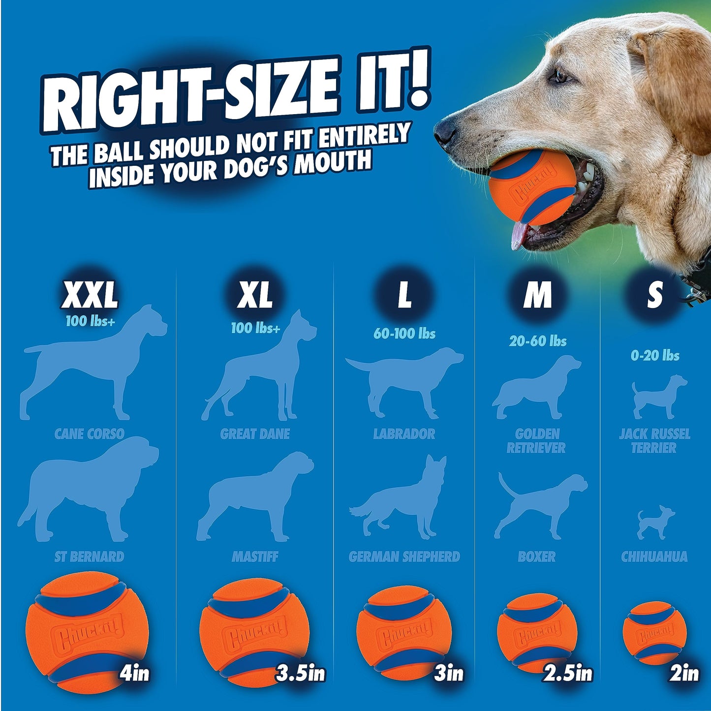 Chuckit! Fetch & Fold Dog Ball Launcher Pick Up and Throw Hands Free Dog Toy Rubber Fetch Ball Thrower Set