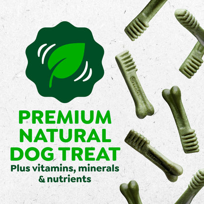 Greenies Veterinarian-Recommended Adult Natural Dental Dog Treats Petite Size, Dog Dental Chews, Original Flavor, 36 oz. Pack, 60 Count