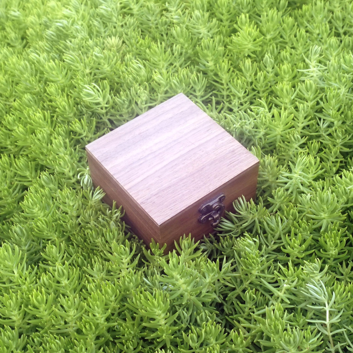 LONMAIX Walnut Wood Box for Crafts, Jewelry Box and watch box Wooden Keepsake Box Gift (Walnut)